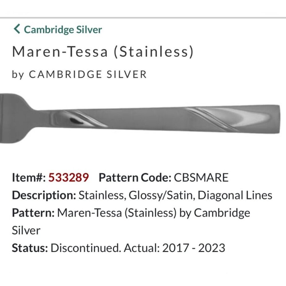Cambridge Silver Maren-Tessa Stainless Steel Spoons Set (7)